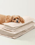Anti-Anxiety with Sponge Support Deep Sleeping Dog Bed - Pawhearth
