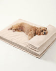Anti-Anxiety with Sponge Support Deep Sleeping Dog Bed - Pawhearth