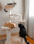 Transformable Cat Tree - Pawhearth