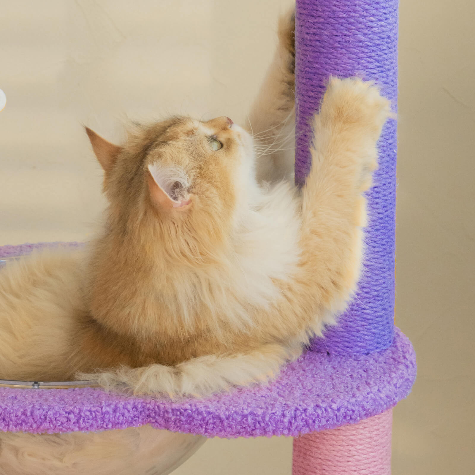 Moonlight Cat Tree - Pawhearth