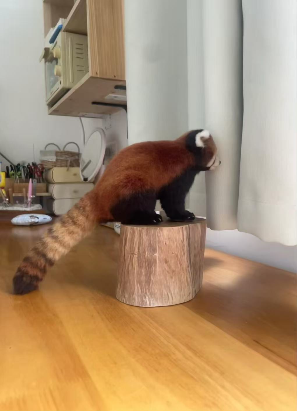 Full-body wool felt red panda replica displayed on a small stump