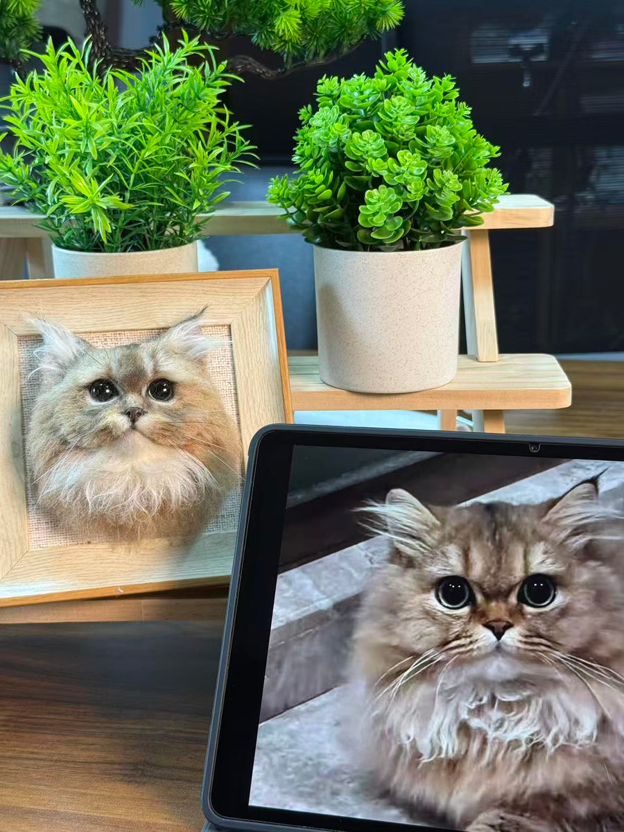 Needle felted pet portrait in frame with photo reference