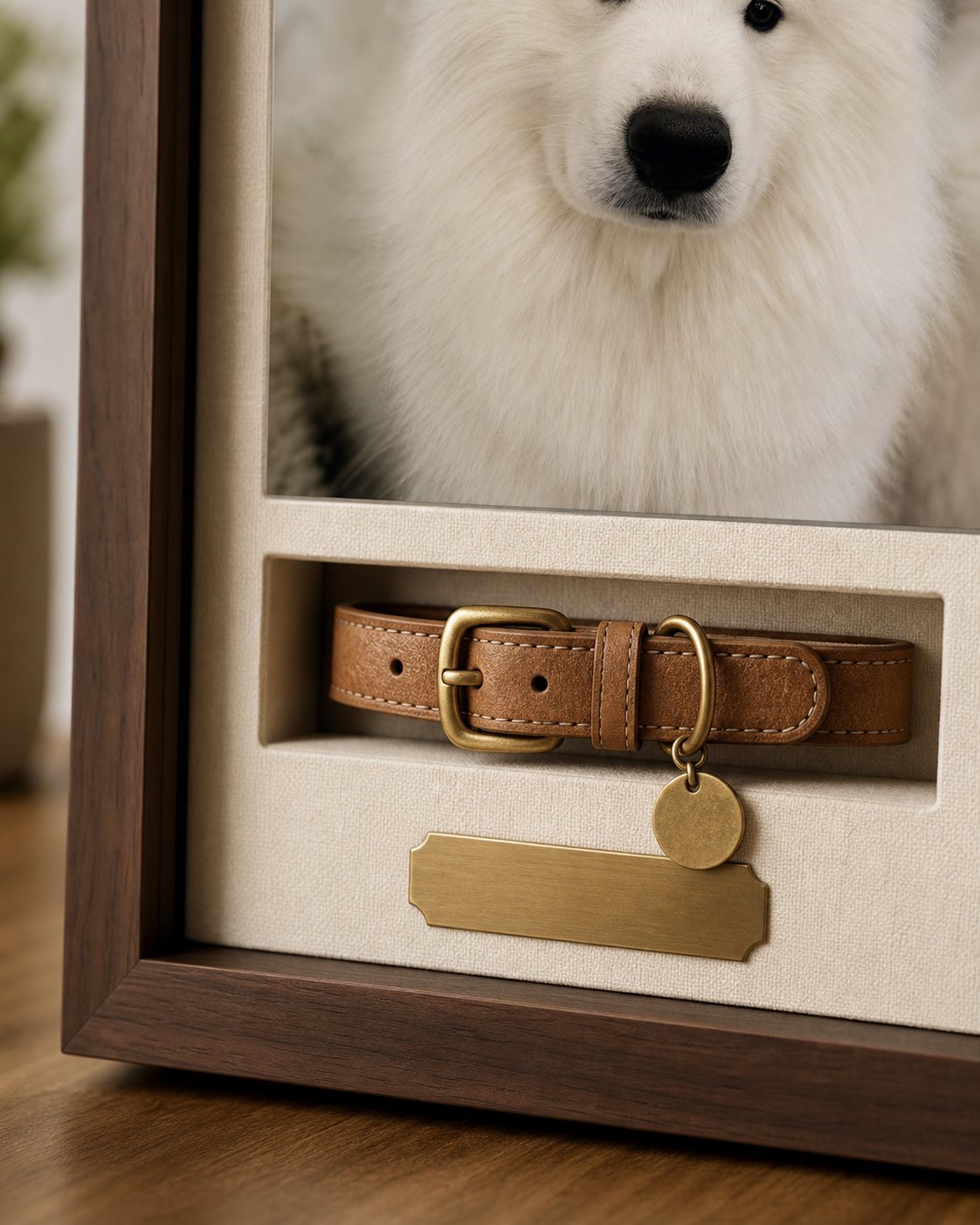 Close-up of the recessed collar mount and brass tag inside the shadowbox