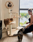 Transformable Cat Tree - Pawhearth